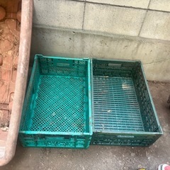入れ物の画像