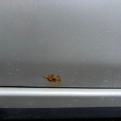軽自動車の画像