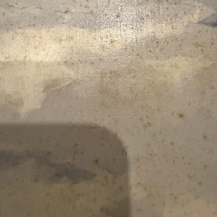 浜田省吾(レコード)の画像
