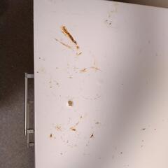 キッチンキャビネットの画像