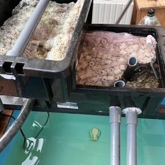 １２０Ｌ　濾過装置一式　１２０Ｌタライ断熱材付きカバー付き　DIY製の画像