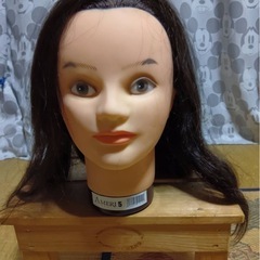 練習用❗️カットマネキンの画像