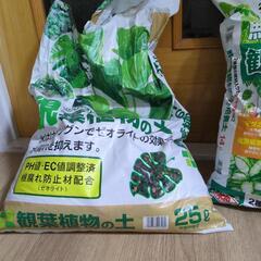 観葉植物土大量🌱の画像