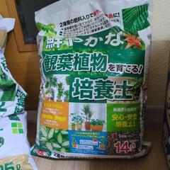 観葉植物土大量🌱の画像