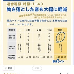 受け渡し確定済　 防音タイルカーペット　静床ライト50x50 中古品です！猫います！の画像