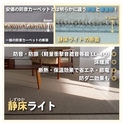 受け渡し確定済　 防音タイルカーペット　静床ライト50x50 中古品です！猫います！の画像