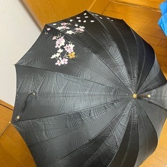 傘の画像