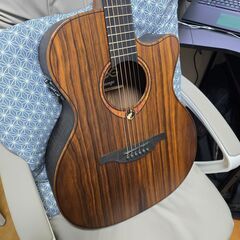 ギター LAG - Electro Acoustic Guitar LAGの画像