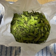 枝豆 えだまめ 野菜 採れたての画像