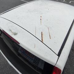 車検たっぷりダイハツ　ミラ軽自動車FFオートマの画像
