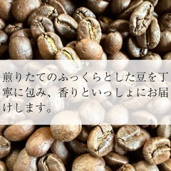 エチオピア イルガチャフィ G1 コチャレ WASHED 100gの画像