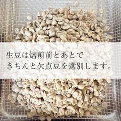 エチオピア イルガチャフィ G1 コチャレ WASHED 100gの画像