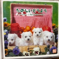 うさぎのモフィDVD .ふろくDVD.たのしいどうようCD の画像