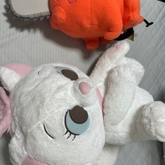ぬいぐい の画像