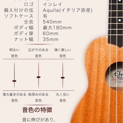 訳ありウクレレ　説明文読んでください　　　の画像