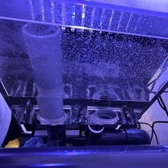 オーバーフロー水槽の画像