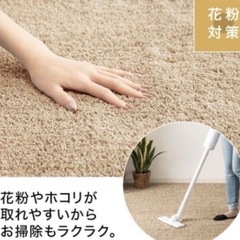 ニトリ ラグ 丸洗い可能 カーペットの画像