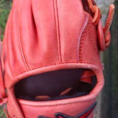 グローブの画像