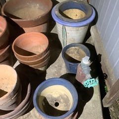 植木鉢  盆栽鉢  大量  セットの画像