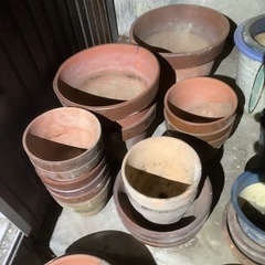 植木鉢  盆栽鉢  大量  セットの画像