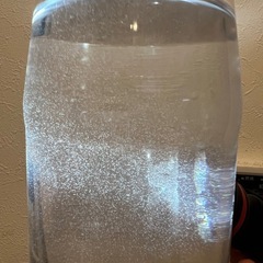 ゾウリムシ 500ml めだかの餌の画像