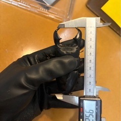 スマトラオオヒラタクワガタの画像