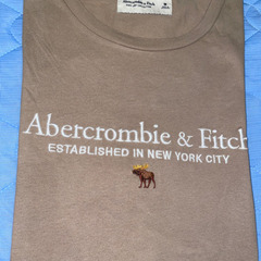 Abercrombie & Fitch メンズTシャツ（Mサイズ／カーキ）の画像