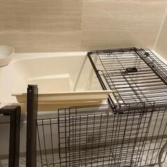 決まりましたゲージ　ペットの画像
