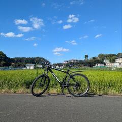 マウンテンバイクの画像