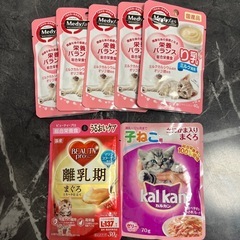子猫用総合栄養食などの画像