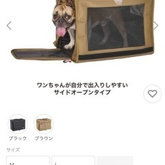 ブリクストンキャリーバック　黒の画像
