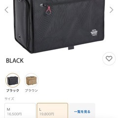 ブリクストンキャリーバック　黒の画像
