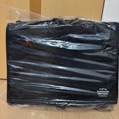 ブリクストンキャリーバック　黒の画像