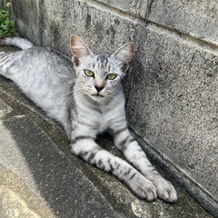 1歳　女の子　妊娠中