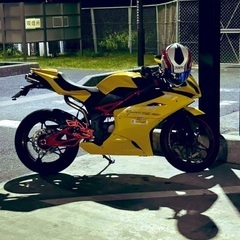 メガリ250r 車両交換可。現車確認必須の画像