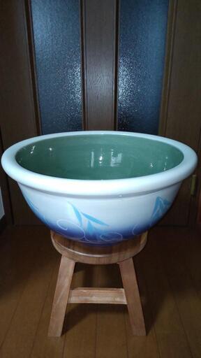47 大きな睡蓮 メダカ鉢 00 47 大きな睡蓮メダカ鉢深口