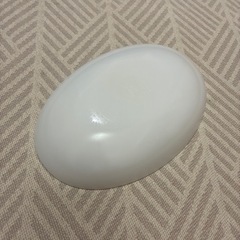 楕円　白皿　⑧の画像