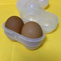 卵ケース 2個セット アウトドアの画像