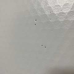 【中古】組み立て型簡易防音室 S-OTODASUの画像