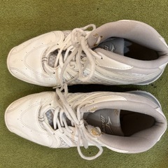 フィットネスMizuno ウエーブダイバースの画像