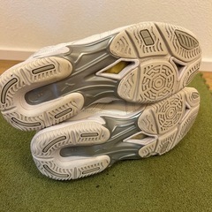 フィットネスMizuno ウエーブダイバースの画像