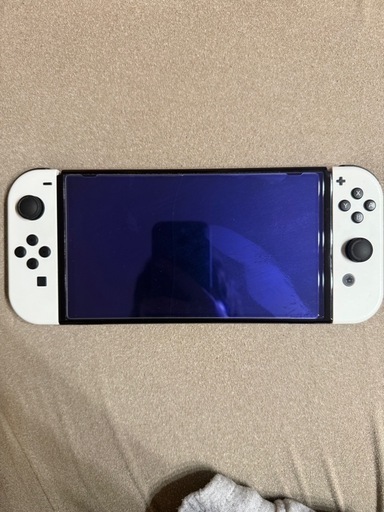 Switch有機EL バイオレット+0の秘宝