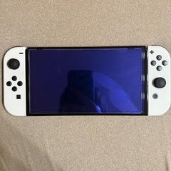 Switch有機EL バイオレット+0の秘宝の画像