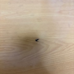 テーブルの画像