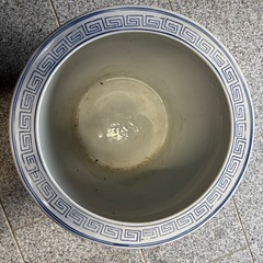 鉢おきの画像