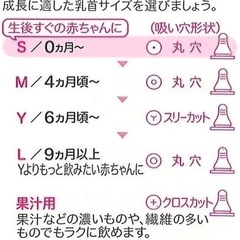 ピジョン哺乳瓶　ガラスとプラスチック二つセット　ミルトン錠剤　新生児の画像
