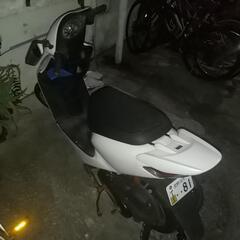 バイクホンダZ4原付の画像