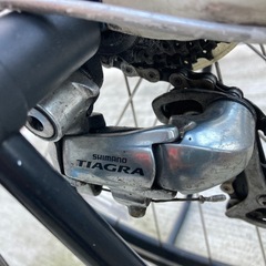 スペシャルライズ　ドルチェ　440サイズの画像