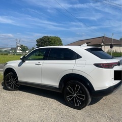 新車のブエゼルの画像