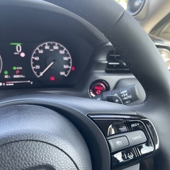 新車のブエゼルの画像